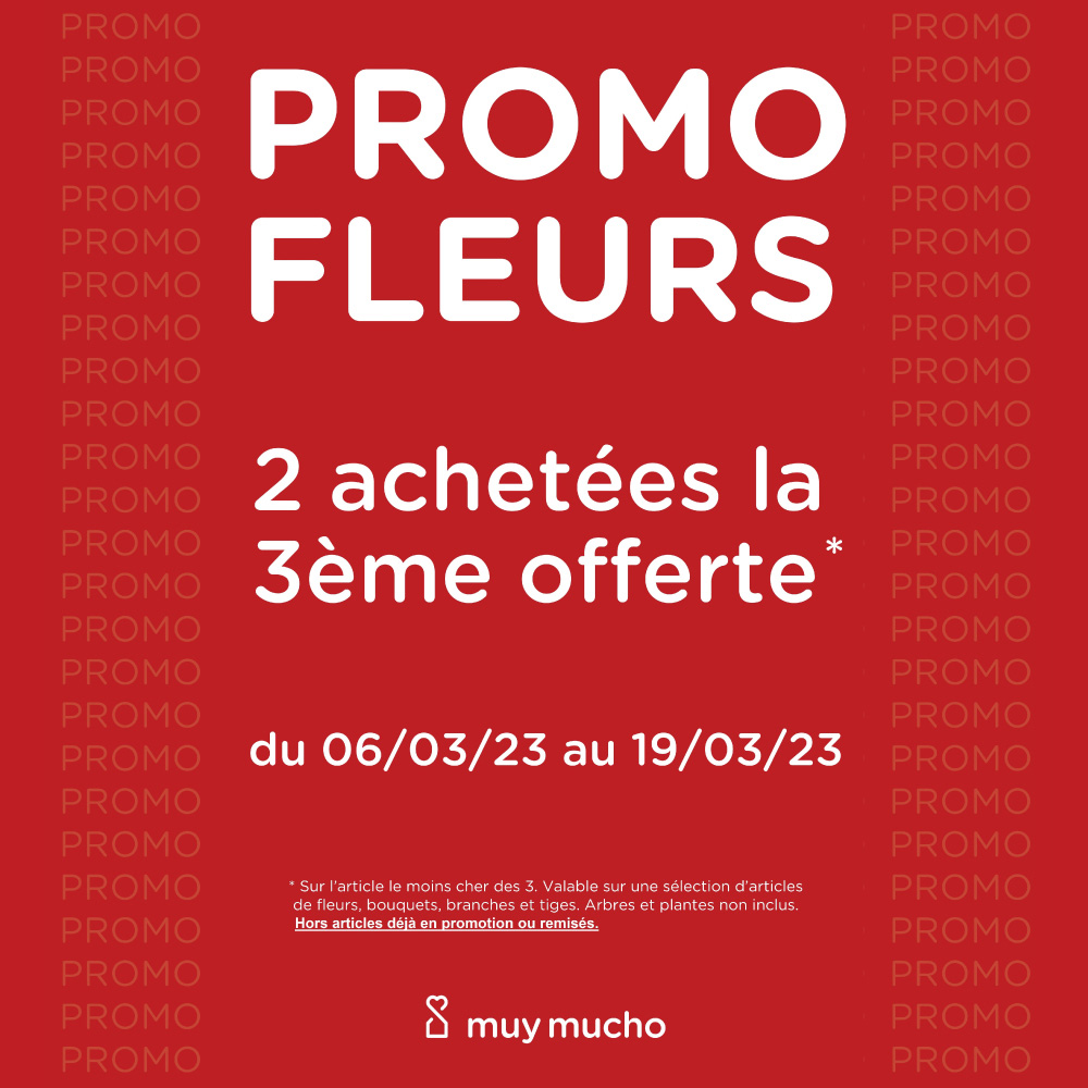 Muy Mucho / Promo “Fleurs”